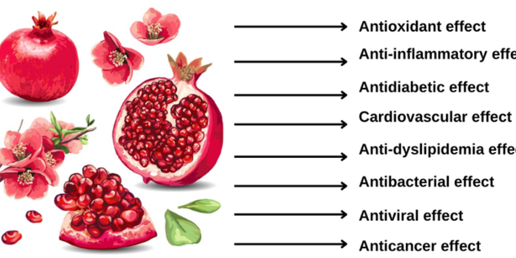 žižole: The Forgotten Superfruit with Powerful Health Benefits