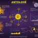 Discover antolohe: Origins, Importance, and Future Impact