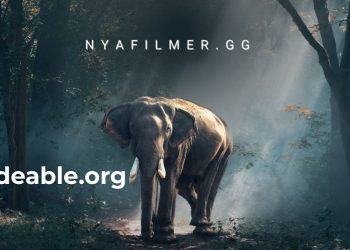 The Evolution of nyafilmer gg: From Launch to Popularity in Online Cinema