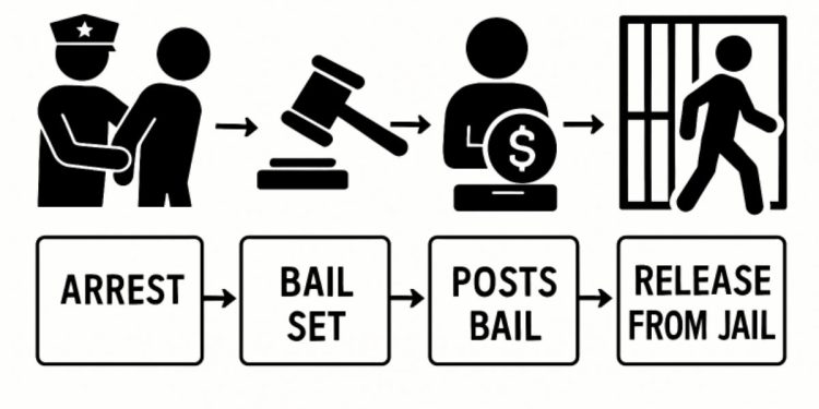 Bail Bonds Process