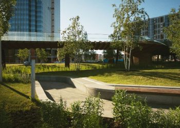 Landscape Solutions