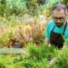 Lawn Care