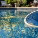 Pool Care